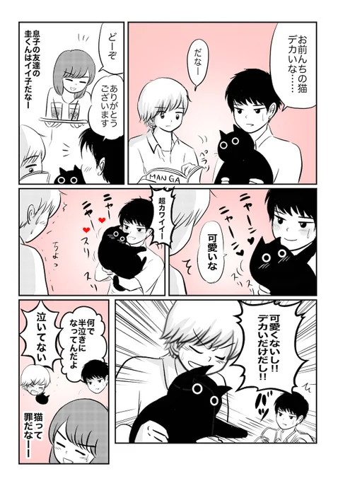 猫と息子と息子の友達のモヤモヤした話
(コマ漫画版) 