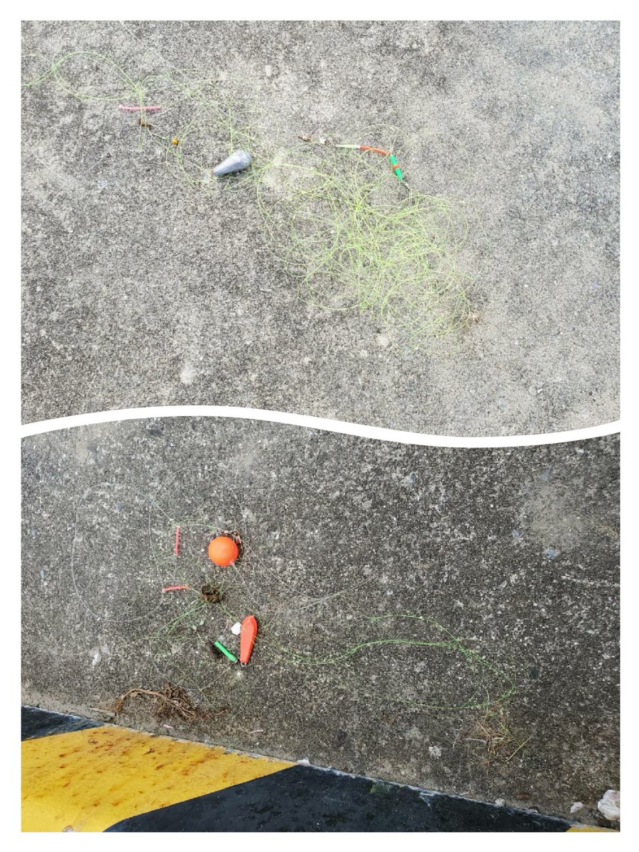 先日 真野川漁港が釣り禁止になった理由 
今回知り合いの漁港漁師よりお願いされました↓

・お疲れ様です。
釣りやってる皆が釣り禁止になってる理由が分かるように画像提供するので公表お願いしても良いですか？

なお、これは釣り禁止前の一部の画像です。