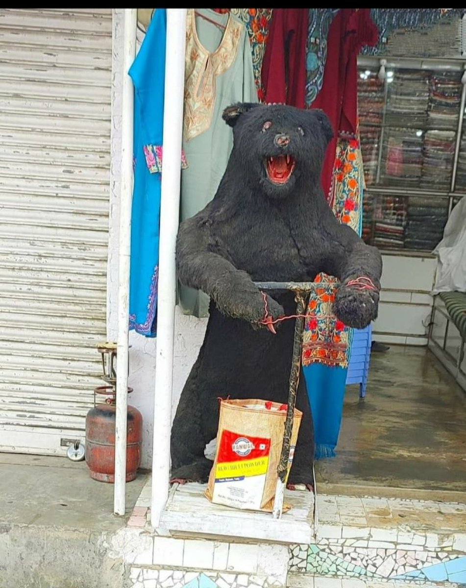 kash_mir11's tweet photo. If you don't know this thing here.. Don't call yourself islambaduk https://t.co/5I3pIggJUH
