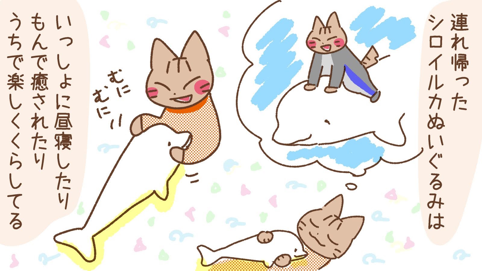 シマハチ Shimahachi Cat Twitter