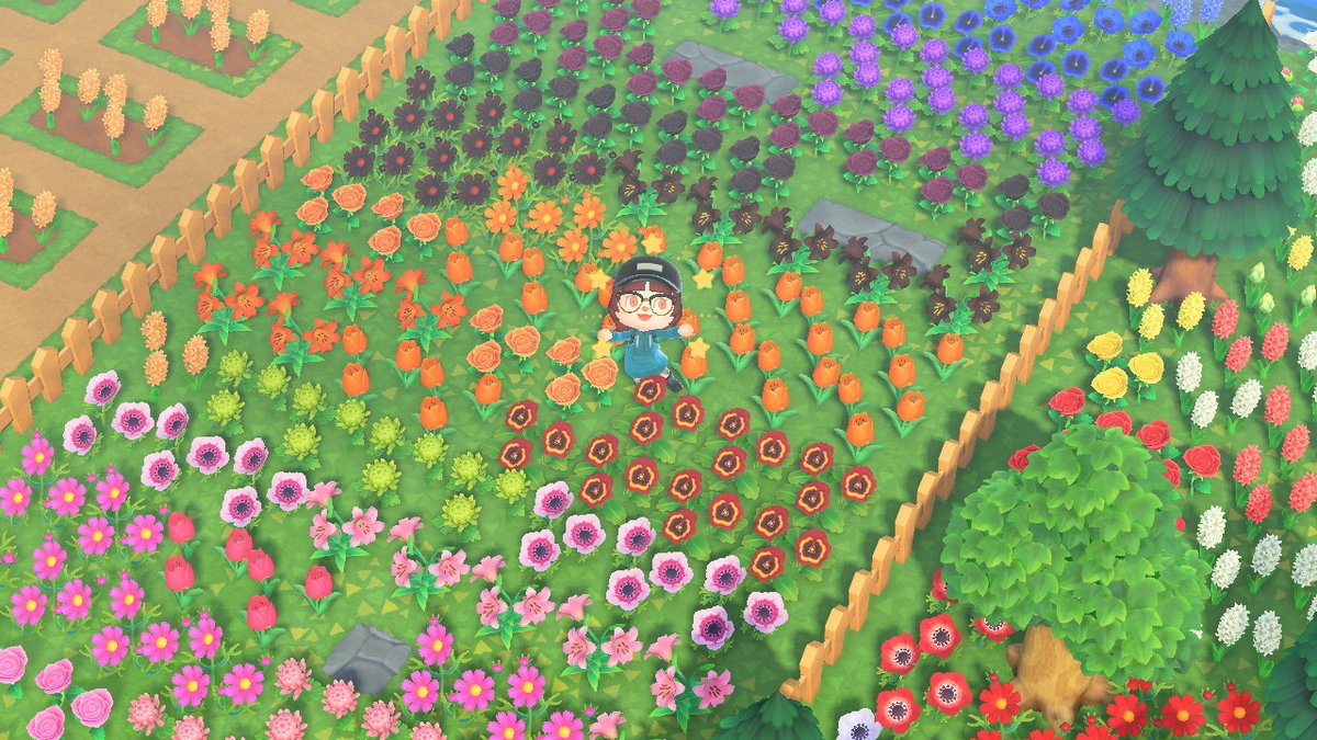 _MimiPlaysGames's tweet photo. Before... and after. Temporary flower storage complete! Now I can finally start redesigning my island! #AnimalCrossing #ACNH #NintendoSwitch https://t.co/fsAeyxunLb