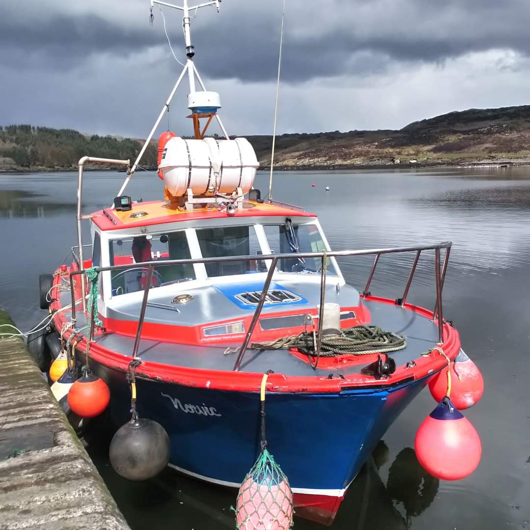 HareIsland's tweet photo. #NewProfilePic https://t.co/UkAgzjaAfv