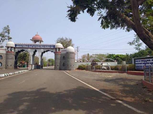 Namma Kalyana Karnataka on Twitter: Namma Kalyana Karnataka on Twitter: