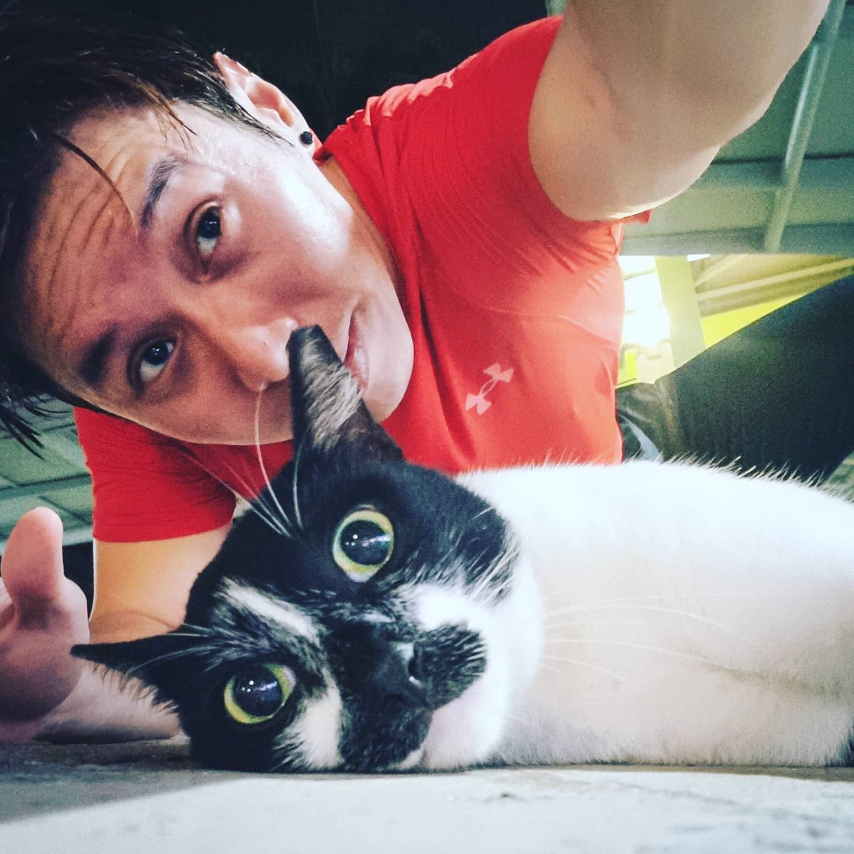 ChiHanster's tweet photo. #Mondays should start with a run and playing with neighborhood cats.

Unfortunately I'm not really a morning #5BX kinda person. 
.
.
.
.
.
#selfie #catfie #cat #cats #kitty #cutie #underarmour #singapore https://t.co/73oeVwmRah