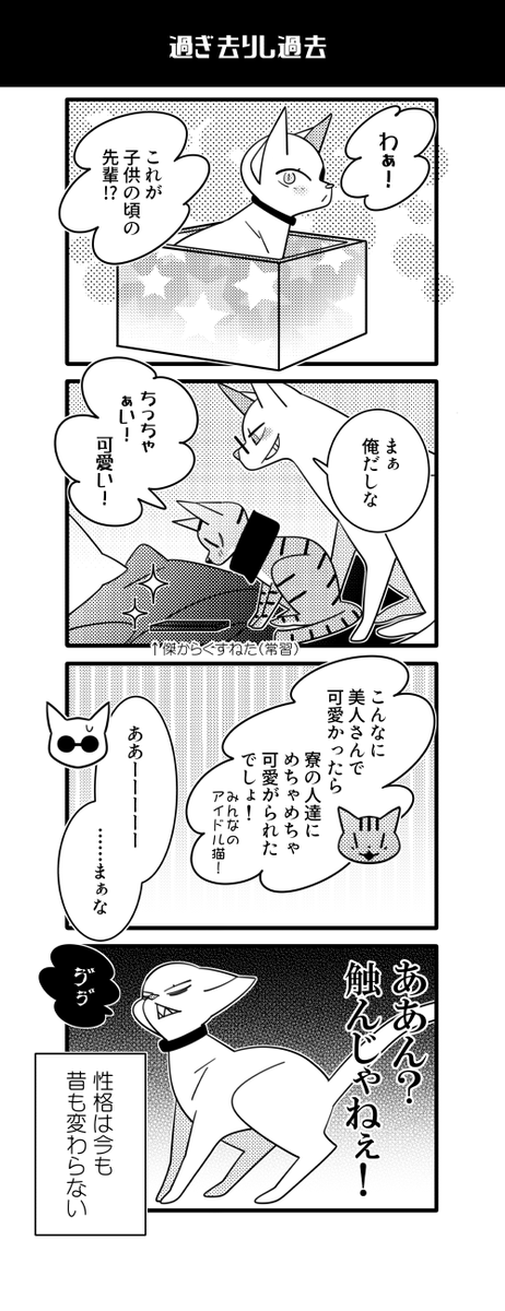 猫五悠! 