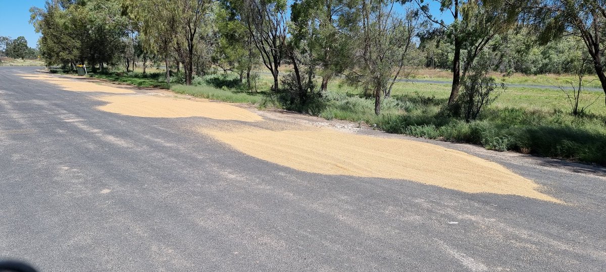 Will Ricardo tweet media