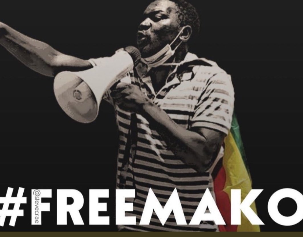 Today is #MakoMonday. Makomborero Haruzivishe is a Zimbabwean activist who has been in detention for a asking uncomfortable questions about corruption & state-sponsored torture by the Zimbabwe military junta. He is a political prisoner & the world should know! #FreeMako