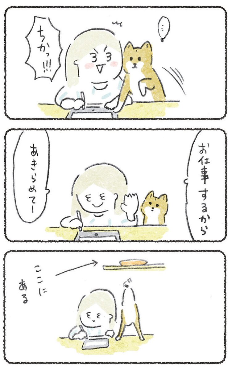 お仕事中に犬におやつをあげたら
フンフンが可愛すぎて気になり続けちゃった🥰

リプにつづきが読めるURL貼ります
(11月16日.朝10時までどなたでも)
#豆しばこつぶ 