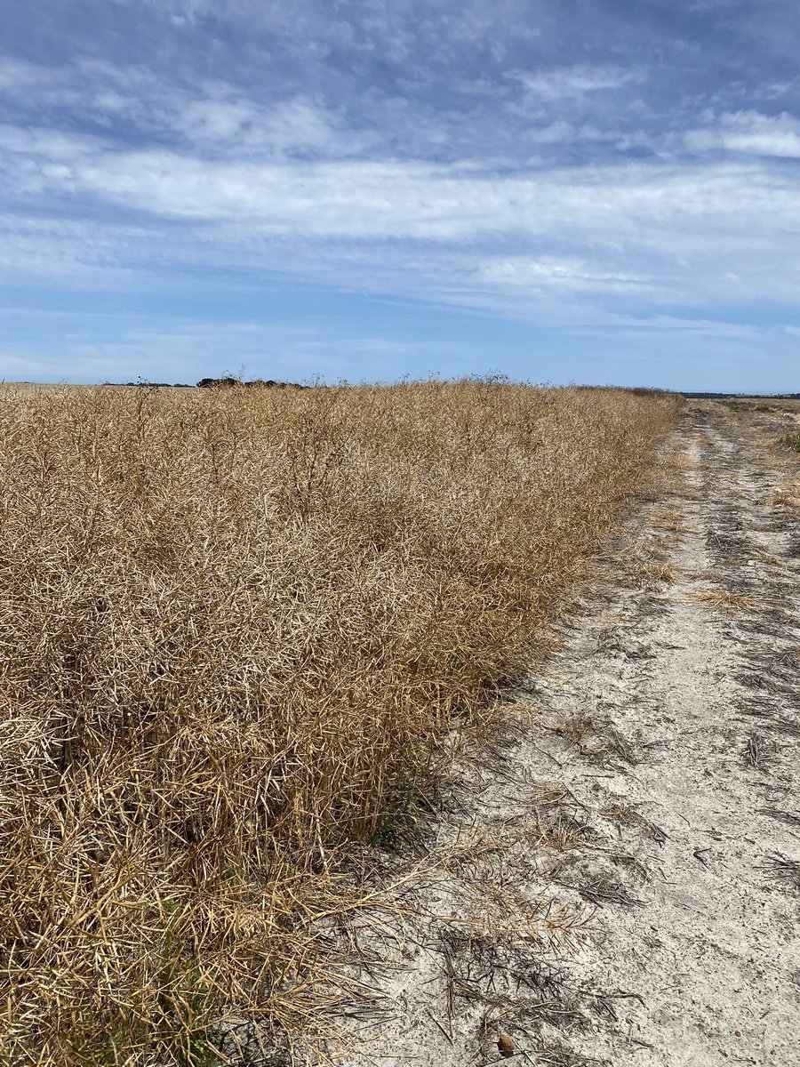 SE Agronomy Research tweet media