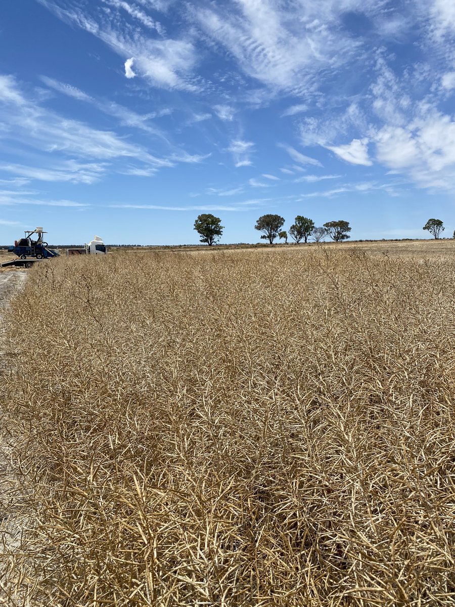 SE Agronomy Research tweet media