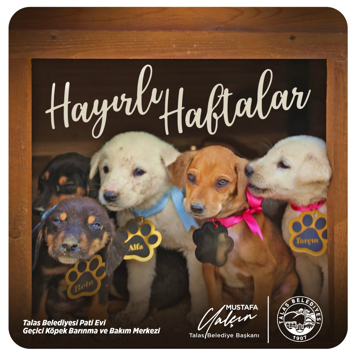 Mustafa Yalçın (@bskmustafaylcn) on Twitter photo 