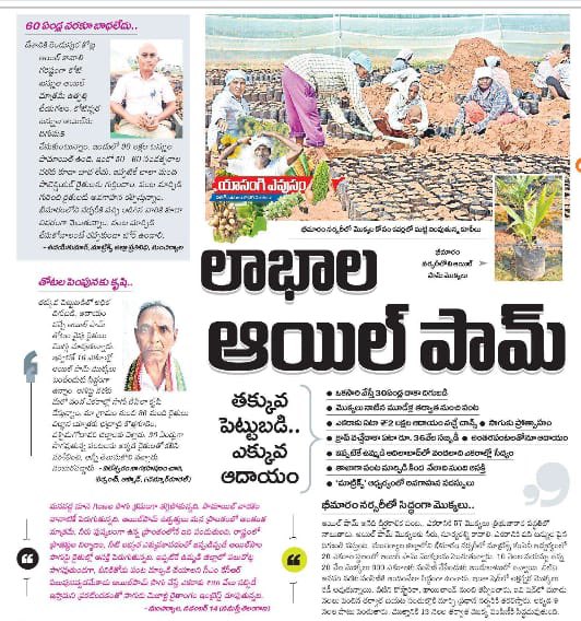 balkasumantrs's tweet photo. #OilPalmCultivation https://t.co/pgeyvW2Ifh