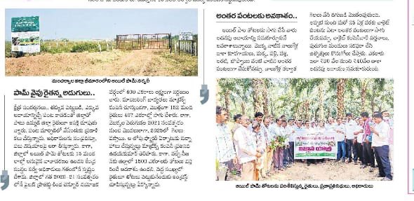 balkasumantrs's tweet photo. #OilPalmCultivation https://t.co/pgeyvW2Ifh