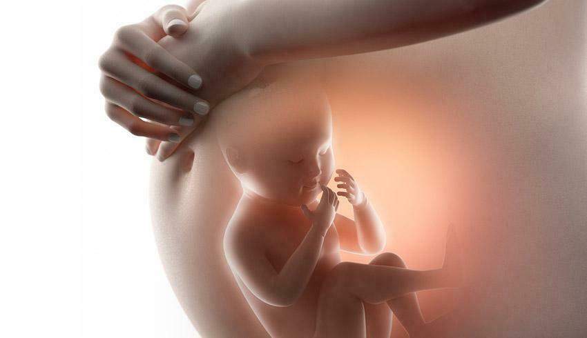 HarmonizedAnd's tweet photo. #Obstetrics is the field of study concentrated on pregnancy, childbirth and the postpartum period.  Obstetrics is combined with gynecology under the discipline known as obstetrics and gynecology (OB/GYN), which is a surgical field.#Jhrmhs https://t.co/flTzvJIy9B