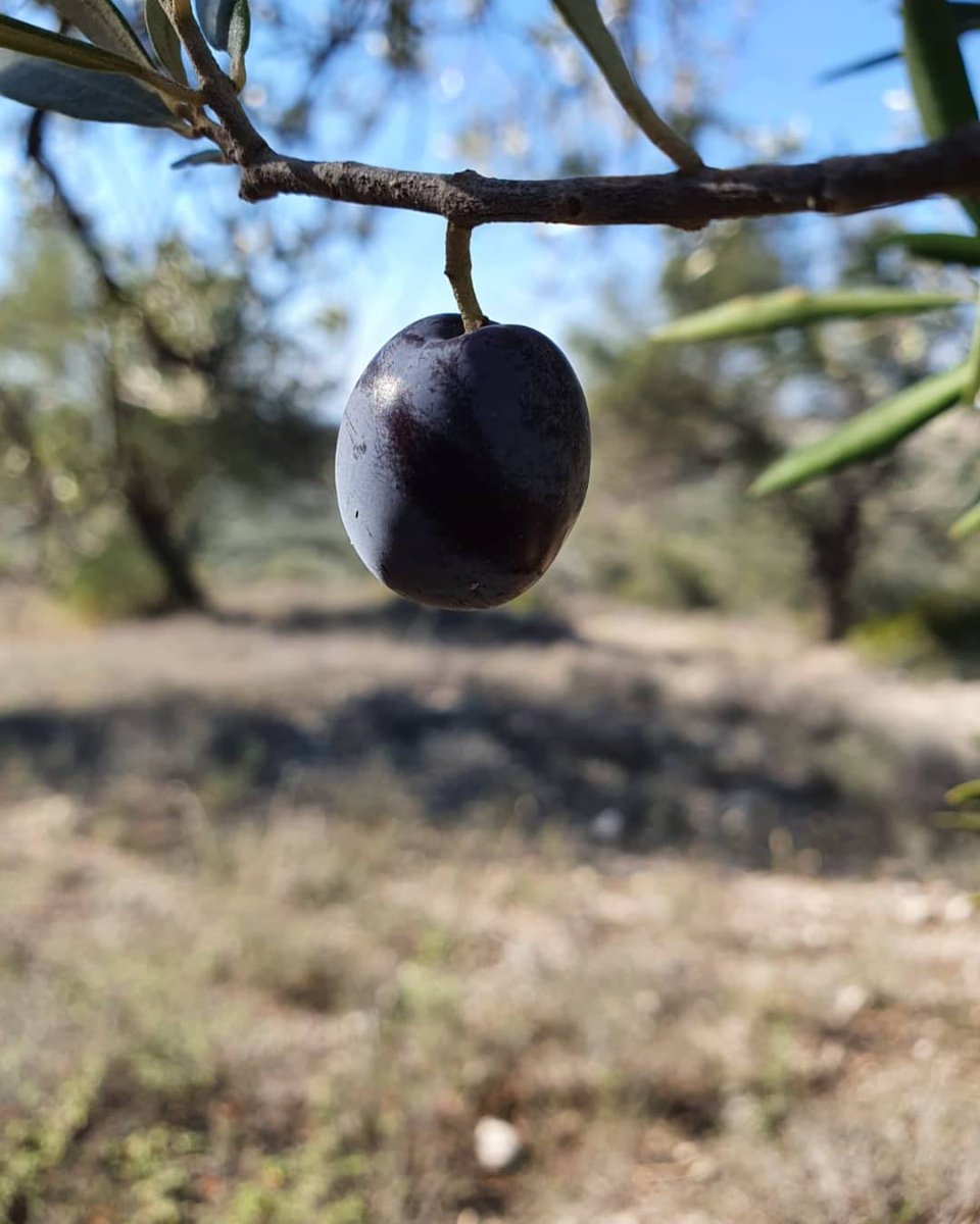 yasamyolukoop's tweet image. Güneşli pazartesiler 🌞🌞🌞