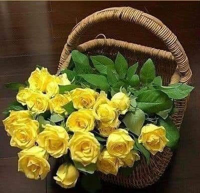 <a href="/tz_ghauri/">Tahir Zahoor Ghauri 804</a> <a href="/Sc0rpion_Girl/">Cᵣᵢₘᵢₙₐₗ 🦂</a> @Stunner__Girl <a href="/WailaHu/">وقاص 🤡</a> <a href="/Aroura_PP/">PP ⁦🌋</a> <a href="/EParray/">ایمـــان فاطمــــہ🍝</a> <a href="/Sumz_Rajput/">Sumaira ᶦᵏᶠ</a> @_MeraPaak <a href="/AsaddRattay/">Stranger</a> <a href="/tan_aslam/">انصاف پسند</a> @aqu_a_rius <a href="/meayesha11/">Ayesha Ashraf</a> <a href="/SadiNaz123/">Sadia Naz Buzdar</a> @sadafikram75 @HakeemBaba_ <a href="/junaidamir/">Junaid Amir</a> @Ufst_ <a href="/IramRChoudary/">𝓘𝓻𝓪𝓶 𝓒𝓱𝓸𝓾𝓭𝓪𝓻𝔂</a> <a href="/iram_usman/">iram usman</a> <a href="/KhanMobeena/">Mobeena Khan</a> #Mony_Ka_BIRTHDAY 

HBD sister 🎉🎈🎂🎂🎁

#RoyaNajwa