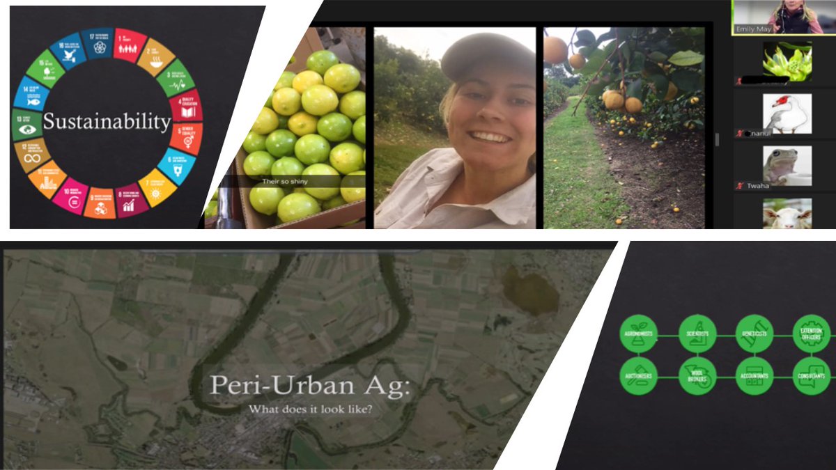 CoE_AgEd_RAC's tweet photo. Masterclass 2- Secondary prog led by @EmmyMay99   Emily took students on a fabulous journey highlighting Peri-urban agriculture &amp; career opp's in the industry. Thought provoking questions &amp; engaging conversations. @Art4ag @FarmGateTrail @NSWEducation @mccallumtp @LeanneNixon https://t.co/b7bu4Co9kI