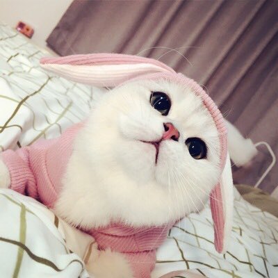 Gemma Bardsley (@gemmabardsley23) on Twitter photo 