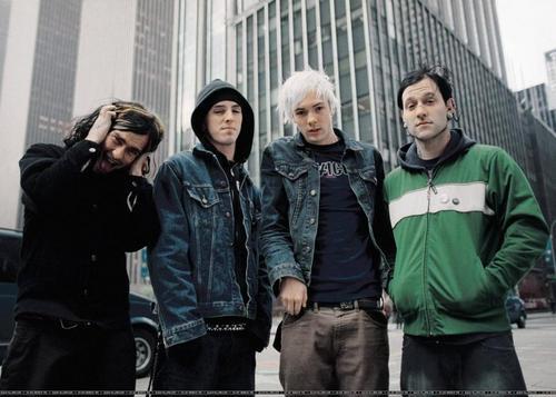 The used группа. The used the used. The used "the canyon, cd". The used 2022. The used the bird.