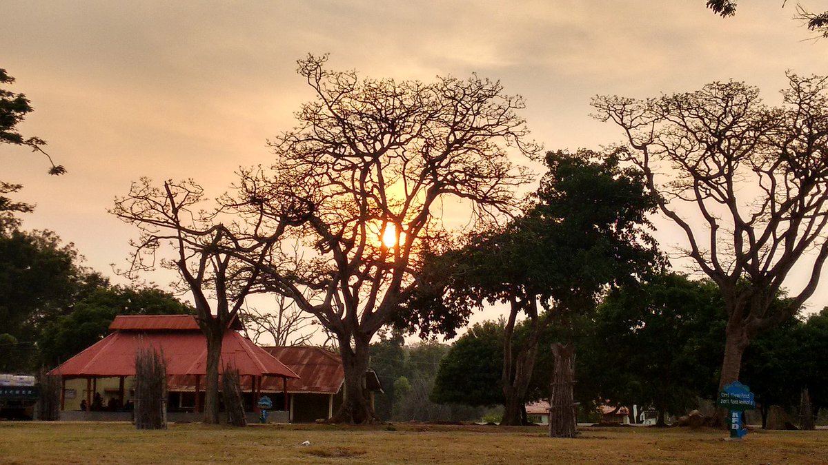 Silvertalkies's tweet photo. Madhu Gulati, #STClubMember and a #travelenthusiast shares with us her experience of her #recenttrip to Bandipur, Karnataka @Bandipur_TR, a #journey worth remembering. 

https://t.co/cx9Tj8Qzbg https://t.co/6mMZeovq4N