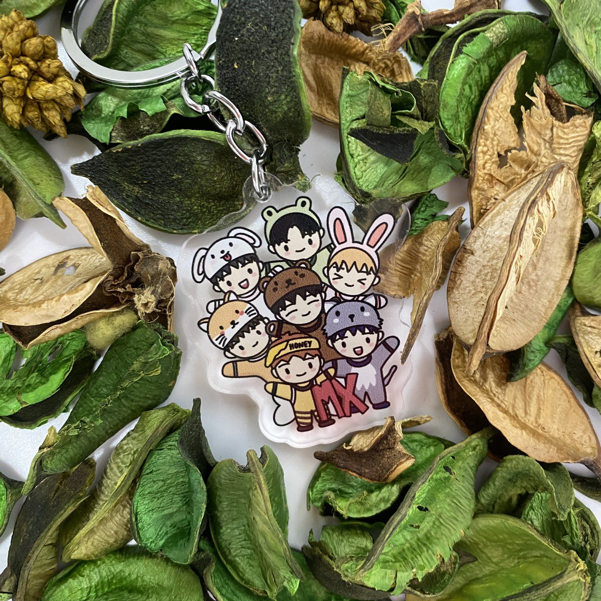 kyu_oala's tweet photo. hi sg mbbs!! please help me to clear my fanpack for mxflowerfield event 🤧 

$5 mailed 
includes 1 keyring + 6 photocards 

do help to rt!! int mbbs do dm me 🥰 https://t.co/wxbya8deX0