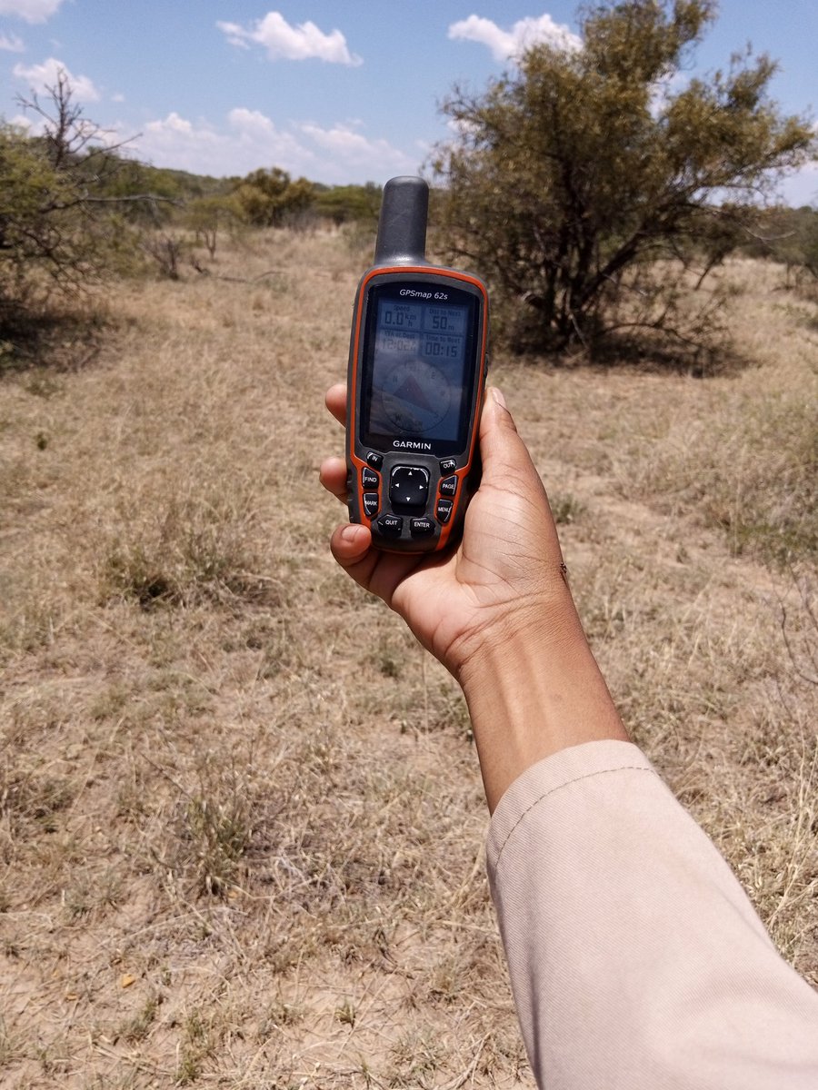 NthabisengAa's tweet photo. Ranch Ecological assessment
Identifying types of grass and tree species
Developing rangeland and restoration
Preparing the ranch for animal production
#Rangeanalysis
#Ecology https://t.co/ICTh5ShvNU