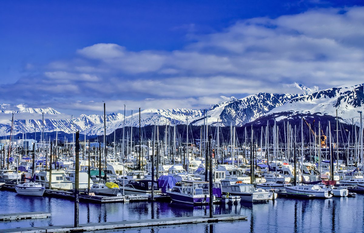 StillpointLodge's tweet photo. Snow has arrived in Homer, Alaska!
#snowcapped #mountains #November2021 #WinterIsHere #homeralaska #alaska #travel #LuxuryTravel #alaskaresort #virtuoso #stillpointlodge https://t.co/RJLEYNwzvy