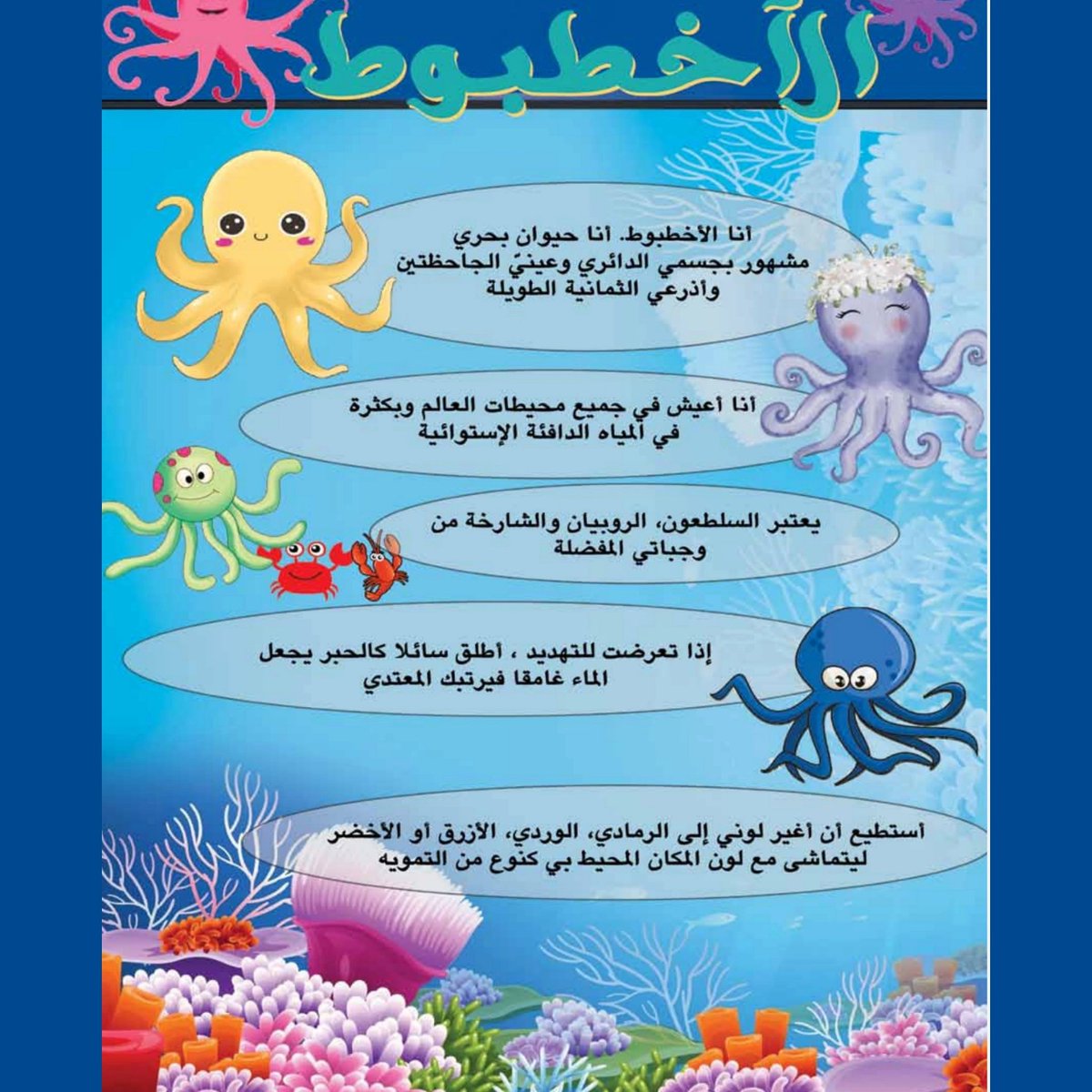 نشرة_ الوشق_ البيئية العدد #٧١