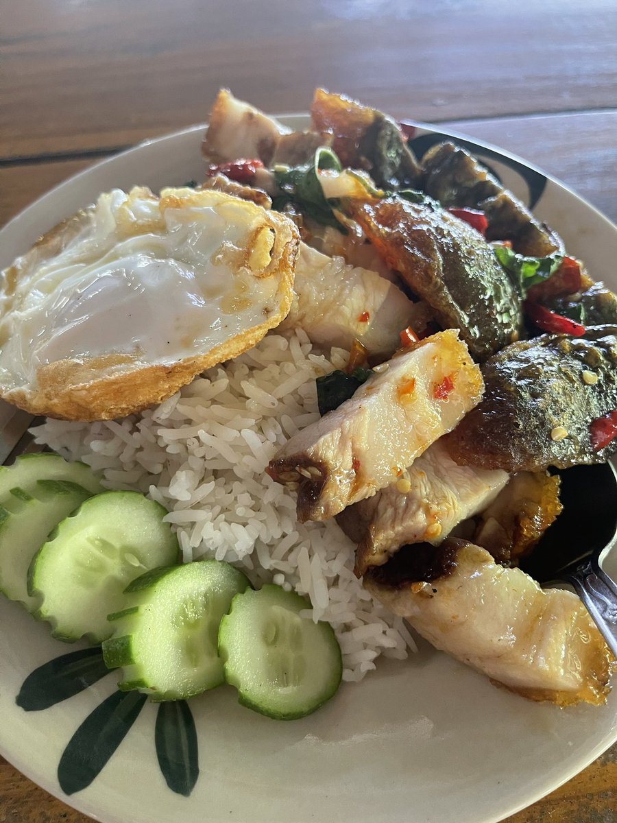 ziege_of's tweet photo. เมนูเที่ยง ร้านเดิม 4วันติดละ https://t.co/BD5LamZNmV