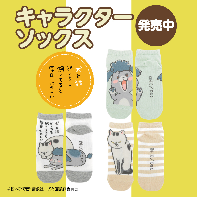 Tvアニメ 犬と猫どっちも飼ってると毎日たのしい 公式 Tva Dog And Cat Twitter