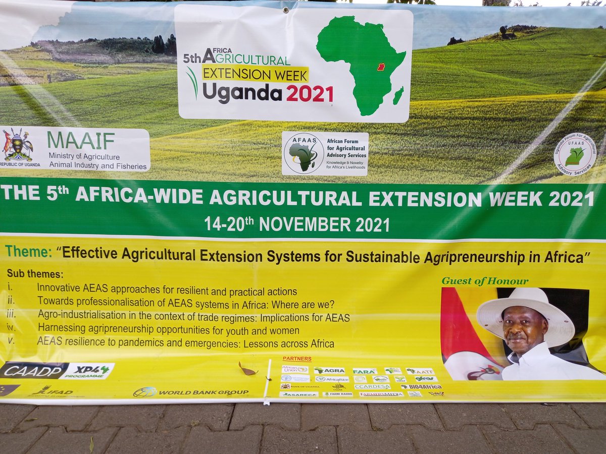 Starting today the Africa wide Agricultural extension week. a hybrid event online and onsite fron 15-19 Nov 2021, #spekeresort #kampala #uganda <a href="/IFAD/">International Fund for Agricultural Development</a> <a href="/AUC_CAADP/">AUC CAADP</a> <a href="/NEPAD_CAADP/">CAADP</a> <a href="/ASARECA/">ASARECA</a> <a href="/ccardesaa/">CCARDESA</a> <a href="/CORAFNews/">CORAF | #MITA2025</a> <a href="/FARAinfo/">FARA Africa</a>