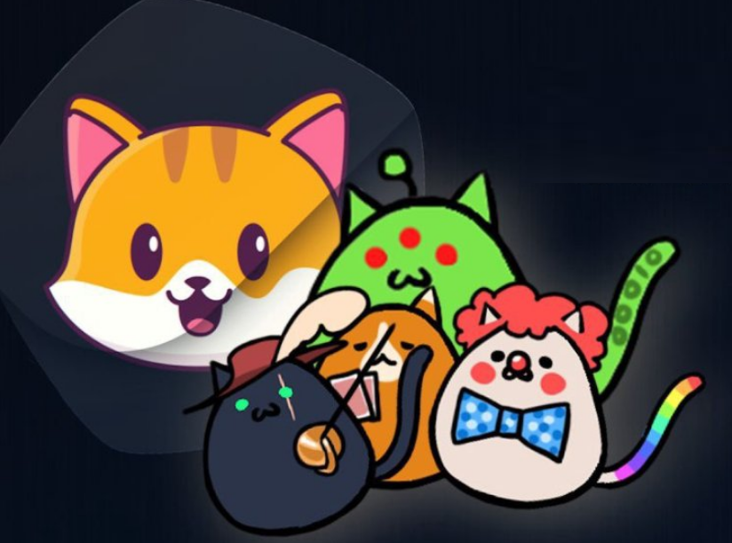 CateCoin tweet media