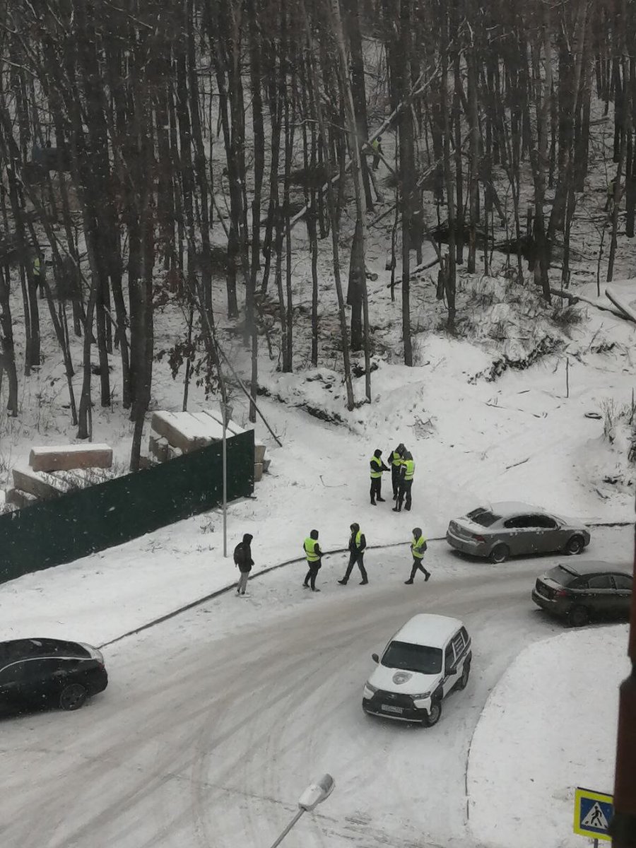 Smirnova__AA's tweet photo. Кто-то даст объяснение?что за зелёные человечки по-тихому вырубают лес?что,уже есть официальные решения и бумаги? @krasnoglin_adm @konovalov_vs @E_Lapushkina @Azarov_Allo https://t.co/XuPkeXpeoM