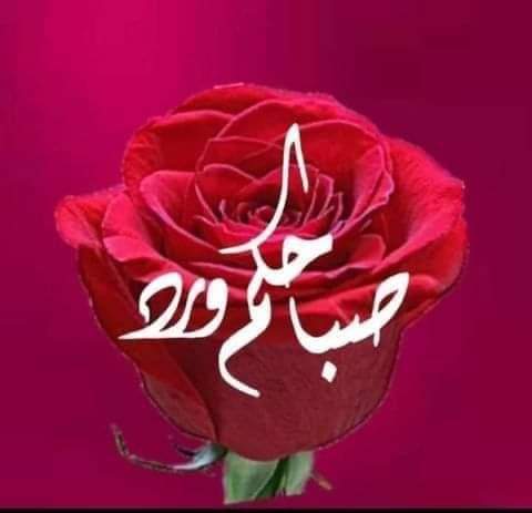 Maioush17's tweet photo. @DuvmX6F3p63IMZX تسلم ياارب.. كلك ذوق
صباحك سعاده تغمر قلبك https://t.co/a2t01NDf8q