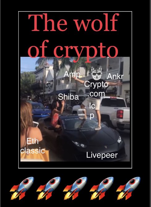 Ankrwolf's tweet image. 🥂😎🚀