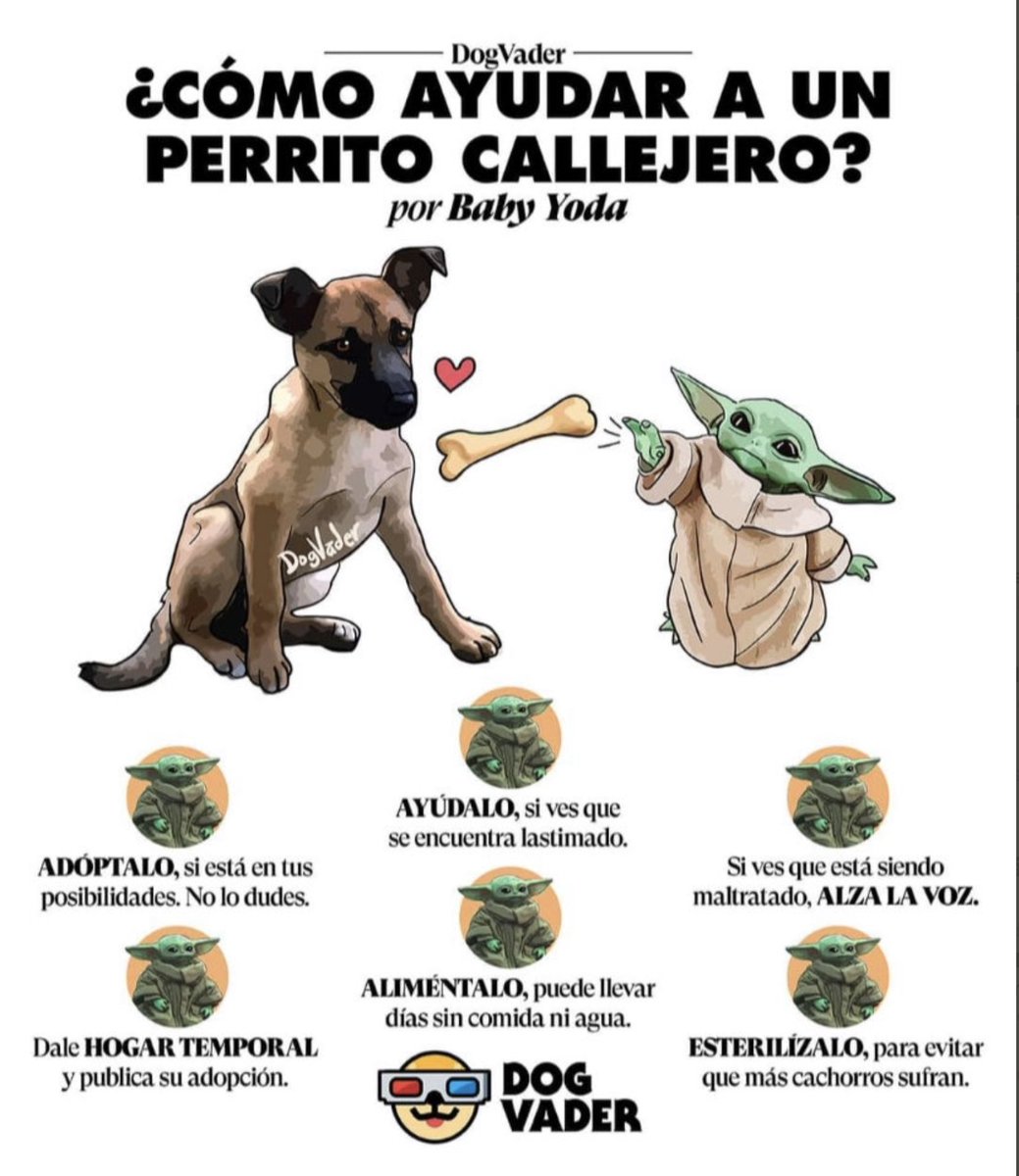 arias_armando's tweet image. 