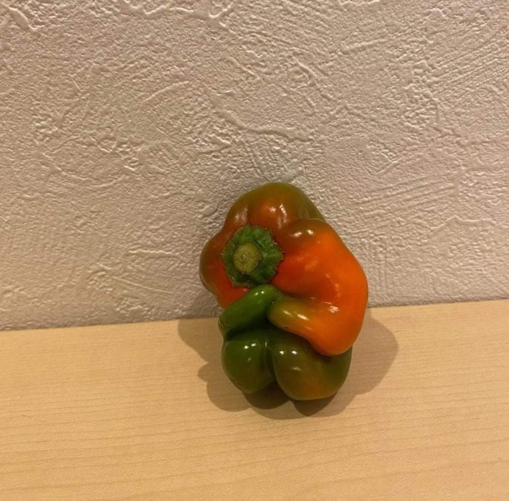 _Daniuc's tweet photo. Supongo que a veces uno es un pimiento https://t.co/qjoM48Dydp