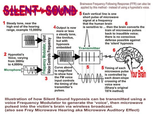 Inflammation saa расшифровка результатов. Leak перевод. Cache-control: max-age=86400. Primary humoral immune response. Технология silent use.
