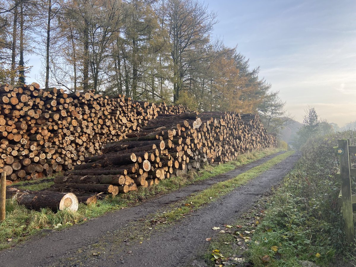 Bowland Bioenergy Ltd tweet media