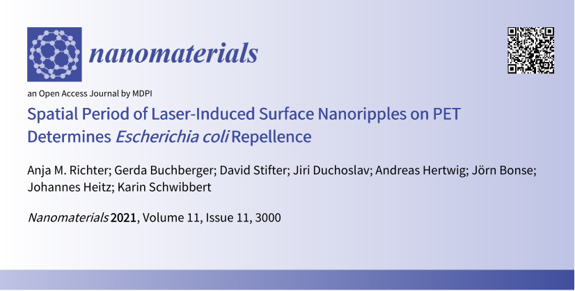 BioCombs4Nanofibers tweet media