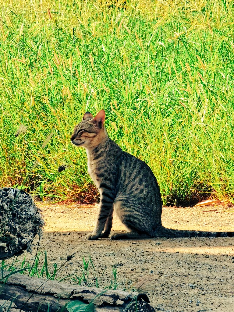 #مساء_الخيرᅠ