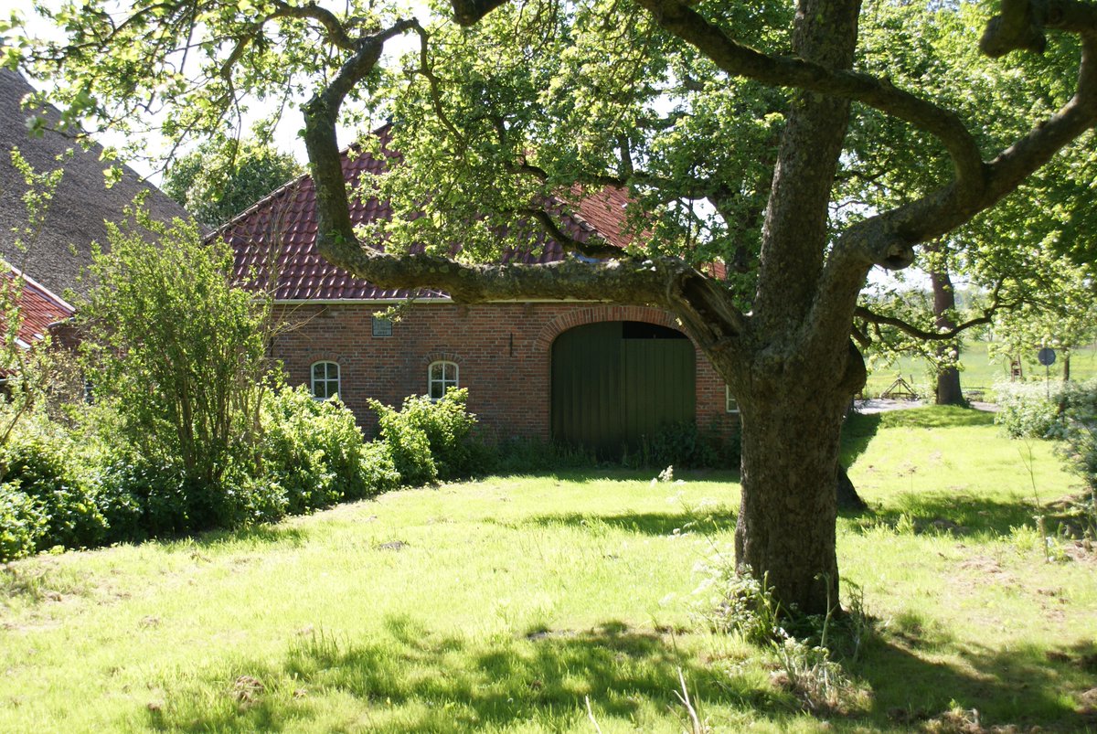 aedewinter's tweet photo. Goed nieuws!
Agrarische natuurvereniging Wierde &amp; Dijk hersteld groene boerenerven: https://t.co/ukvsI5lUVw

Landschappelijk fraai en ook nog eens goed voor de biodiversiteit van het boerenerf!
Project is mogelijk gemaakt dankzij @bos_hout @provgroningen &amp; @Eemsdelta https://t.co/TTMILqPM1Z