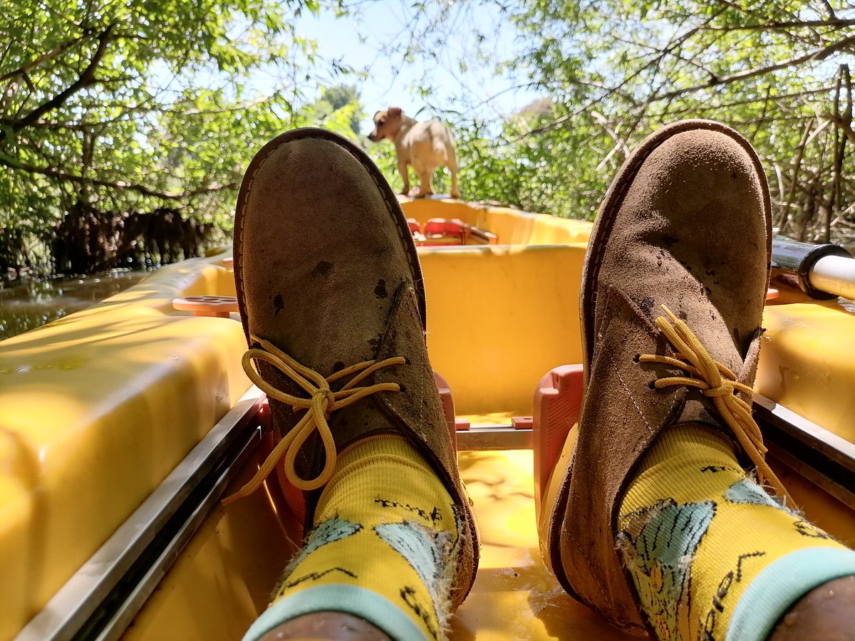 Tw33m's tweet photo. Paddling with my @Veldskoenshoes and loyal dog. The pants belonged to someone I used to loved dearly, to cut the story short, they've been recycled to fit and match my @Veldskoenshoes.
#HowIWearMine #VeldskoenShoes #adventureready #canoeclub #rhinoheritagepark @IngredientsThe https://t.co/8nj7V5sTdR