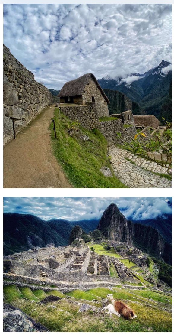 RT @TheCatExpert: Photography and Shots from our Trip to Peru. Pt. 5 – Machu Picchu https://t.co/Cfy2lvd2Xb https://t.co/iSmjnwtU9T