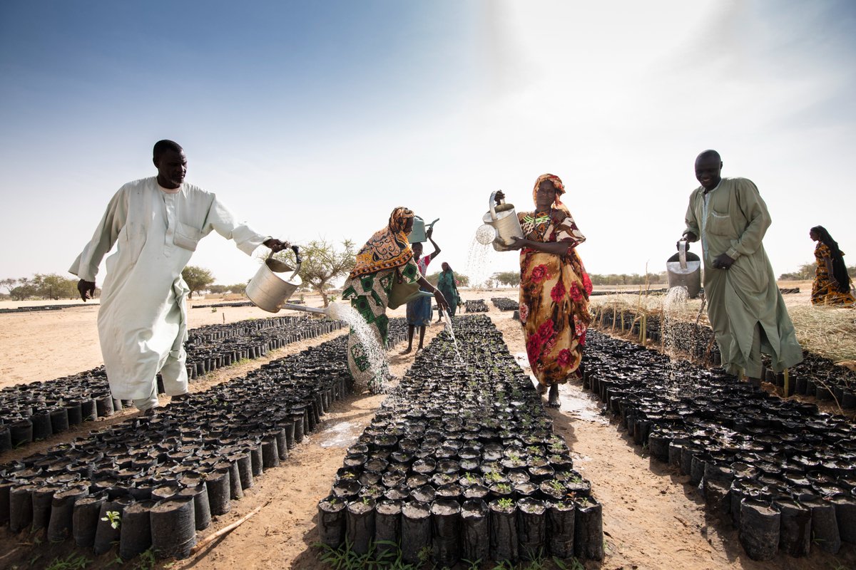 PioneersPost's tweet photo. For more stories on how people-centred innovation can fix the planet, explore our #EarthFixers collection of immersive features: 
https://t.co/vJjFxsttRc

@HLBaSE @BlueVentures @SmartAirFilters @GreatGreenWall @Snowchange @TheOceanCleanup 
@soljourno @Shorthand https://t.co/h2N2rWaFWf