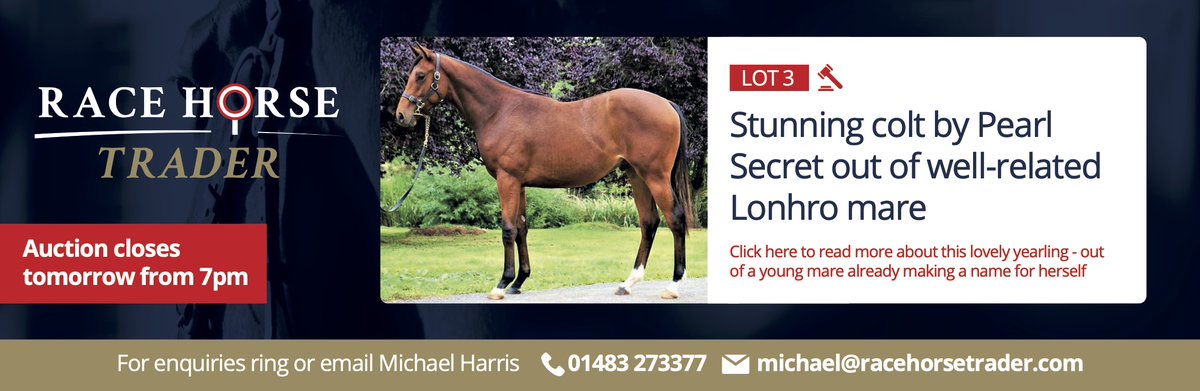 bloodstocknews's tweet photo. 🐴 Lot 3 in the @RaceHorseTrader is a stunning colt by PEARL SECRET out of a well-related mare.
⏰ The auction closes tomorrow from 7pm.
Find out more about the colt here: https://t.co/JQm0aEBxXu #ReadAllAbout https://t.co/TgAqF82XOl