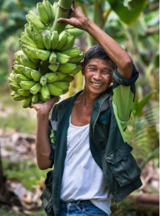 More than a meal ✨
For every 100,000 children receiving school meals, 1,668 direct jobs are created by #schoolfeeding programmes.

Join the <a href="/SchoolMeals_/">School Meals Coalition</a>  Coalition Launch Celebration &amp; our efforts to amplify #schoolmealsprograms.

📅 Nov. 16th
Sign up – bit.ly/3w7FsKx