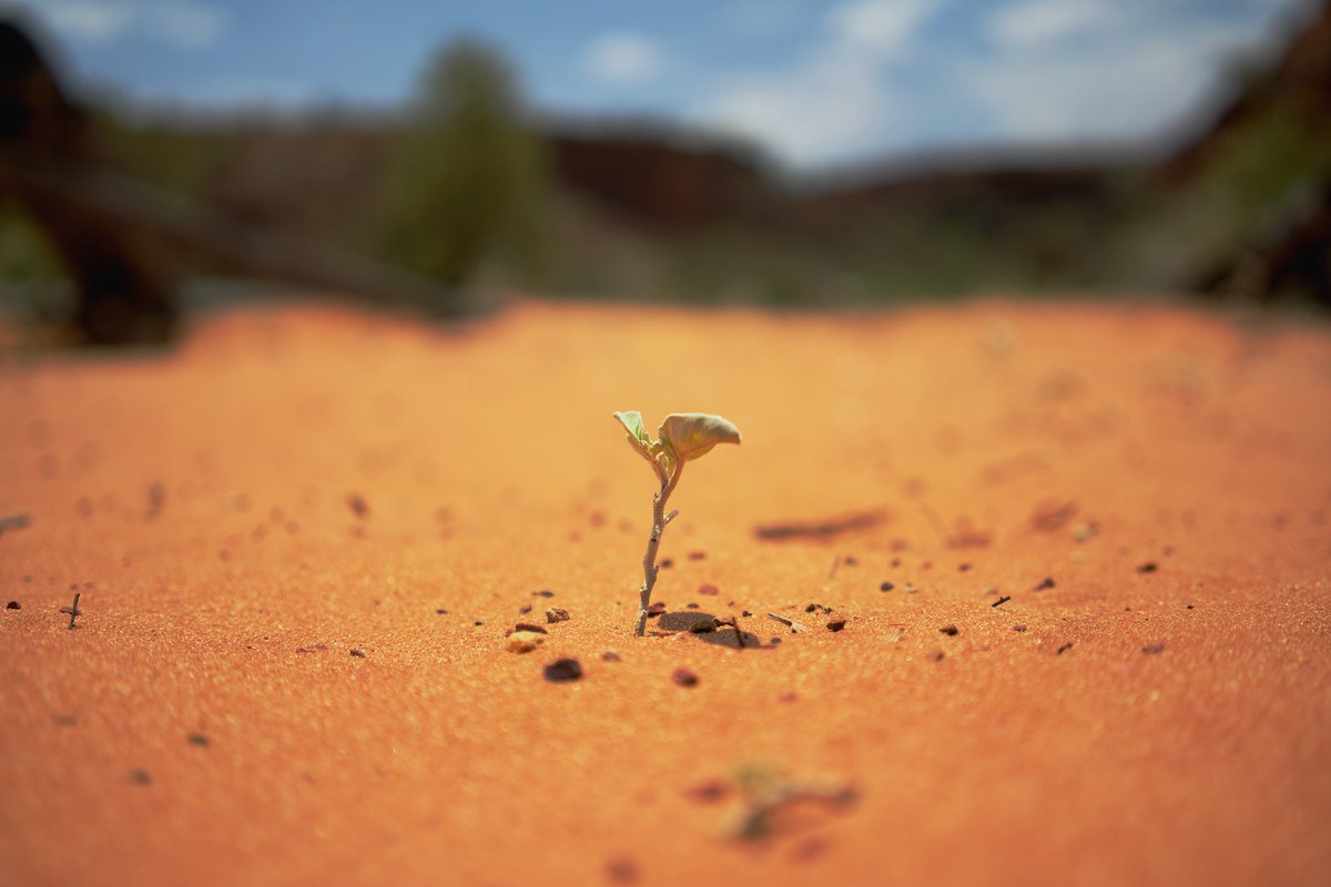 PennPosPsychCtr's tweet photo. “Your strength doesn't come from winning. It comes from struggles and hardship. Everything that you go through prepares you for the next level.” 
― Germany Kent https://t.co/2UFoNeNIiQ