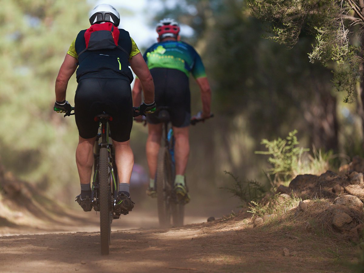 Som Bike Friendly! 🚲
- Viajacon la teva bicicleta, les nostres habitacions disposen d'espai suficient per guardar-les dins.
- Oferim servei de lloguer de bicicletes, inclou tots els accessoris necessaris.
- T'ajudem a buscar les millors rutes ciclistes, amb o sense guia.