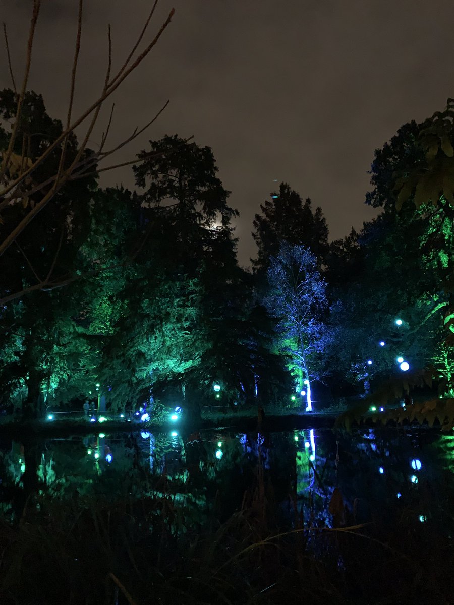 What a lovely walk through the <a href="/EnchantedSyon/">Enchanted Woodland</a> woodland <a href="/SyonParkHouse/">Syon House and Gardens</a>, highly recommend it!